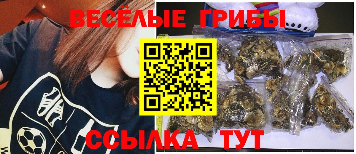 Галлюциногенные грибы GOLDEN TEACHER  Галлюциногенные грибы ЛСД  Лангепас  Вход с VPN 
