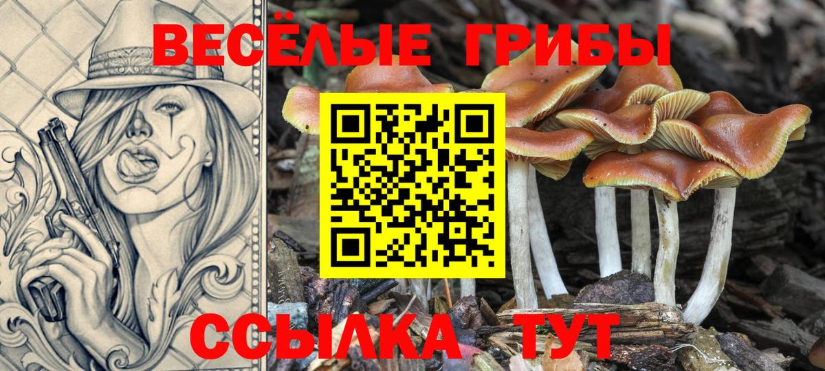 Псилоцибиновые грибы ЛСД Лангепас